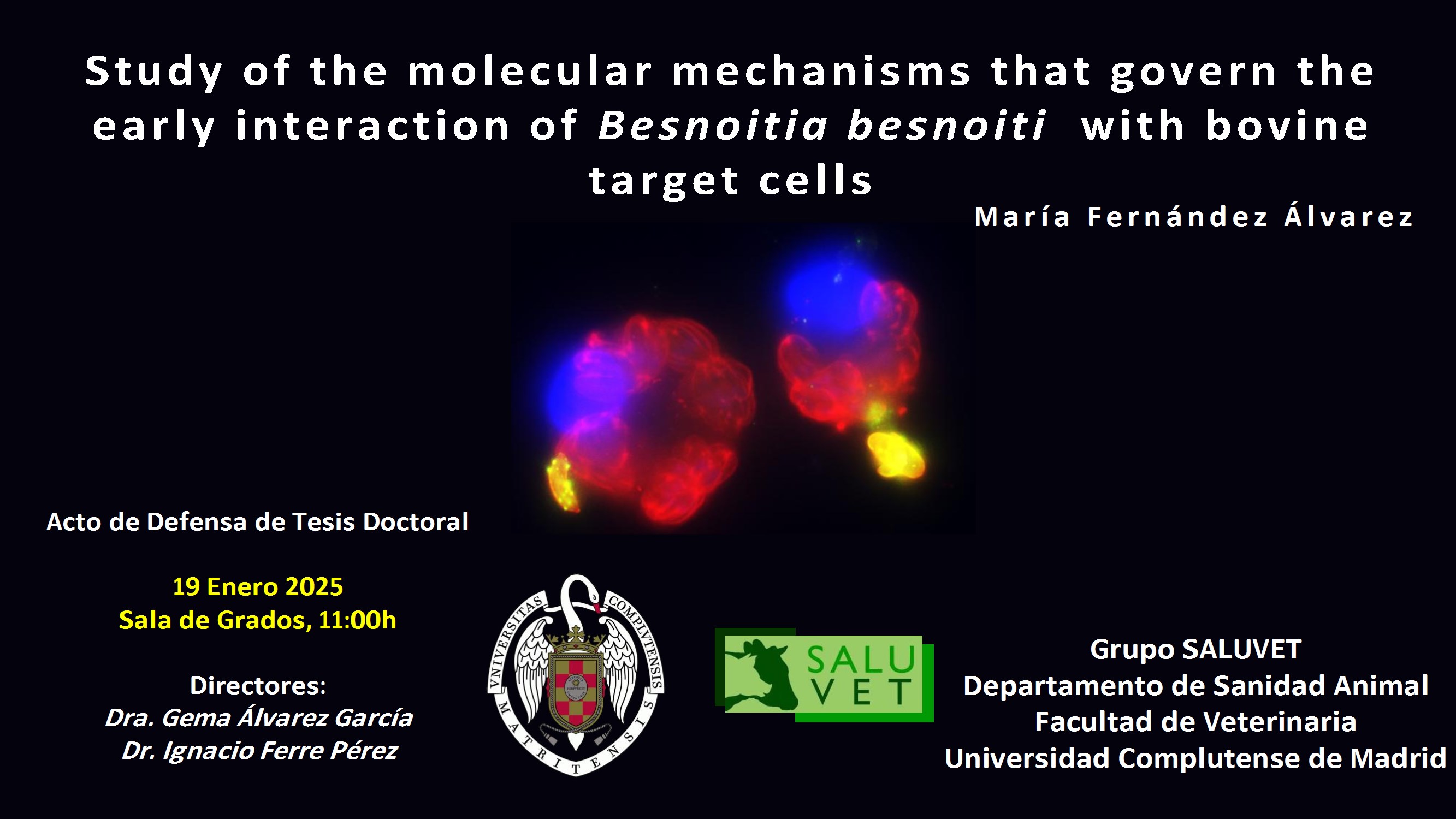 El 19 de enero de 2026 María Fernández Álvarez va a defender su tesis doctoral sobre Besnoitia. Promete ser muy interesante. No te la pierdas